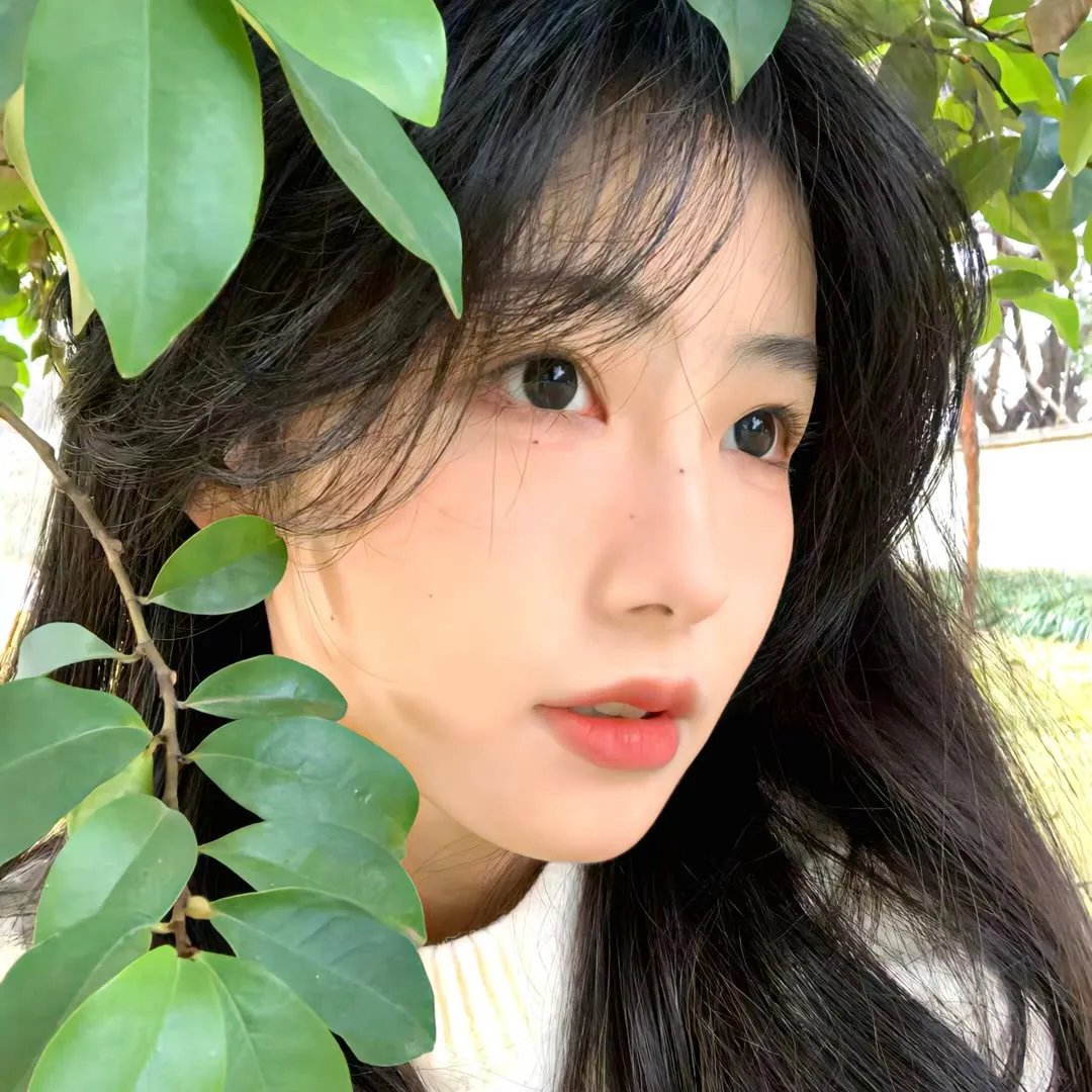 蛇发女妖